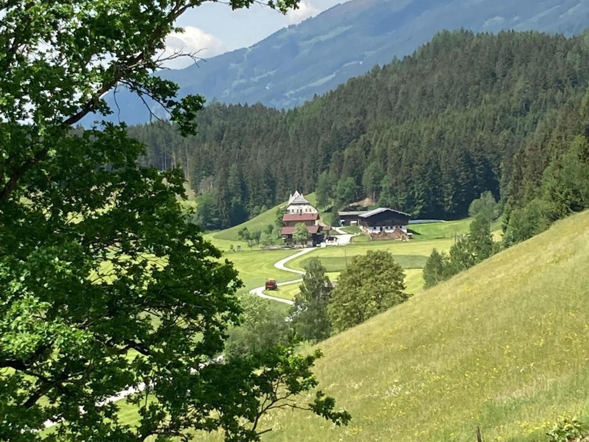 Holiday Apartment In Pinzgau With A Large Terrace Mittersill Eksteriør bilde