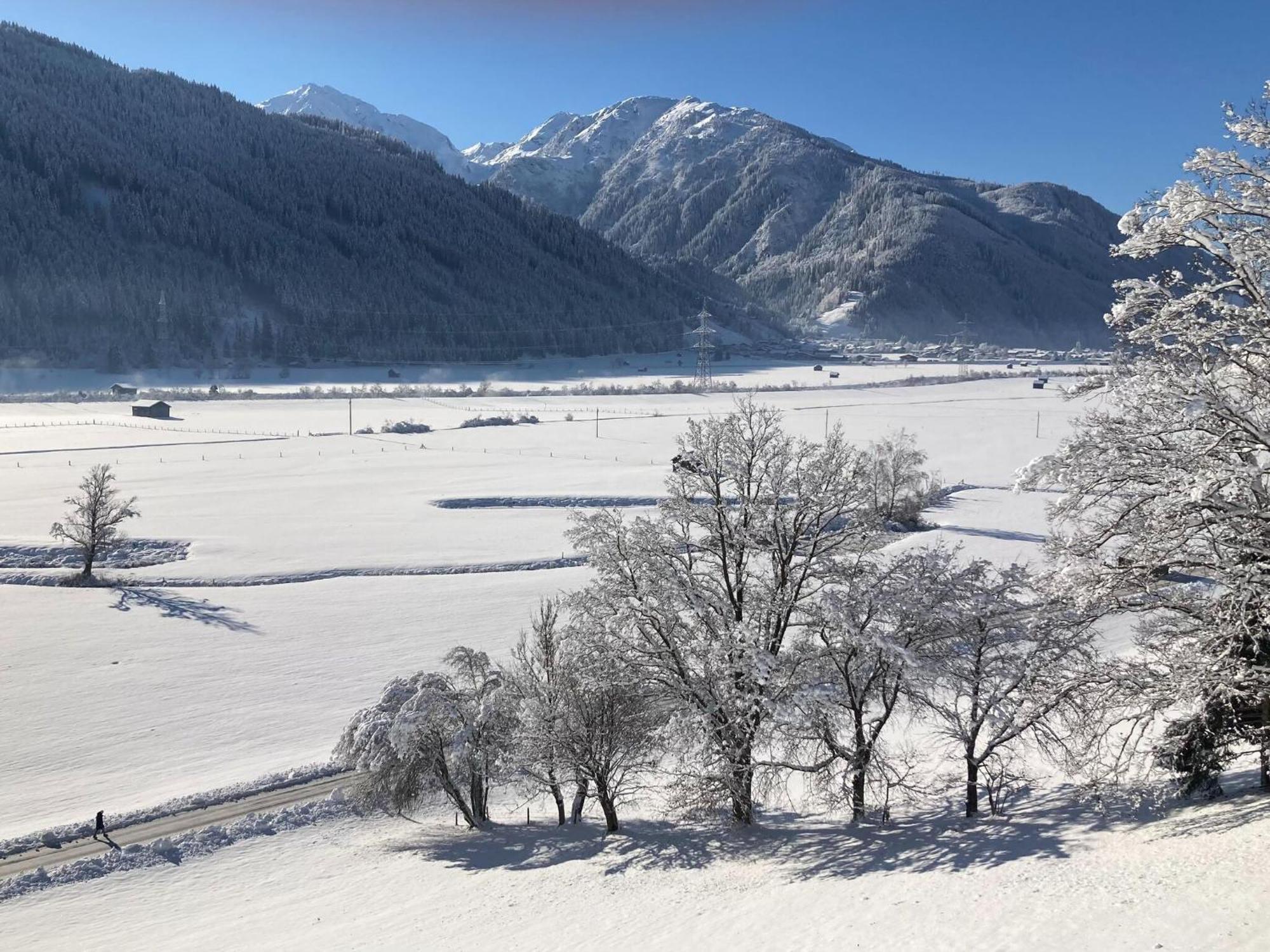 Holiday Apartment In Pinzgau With A Large Terrace Mittersill Eksteriør bilde